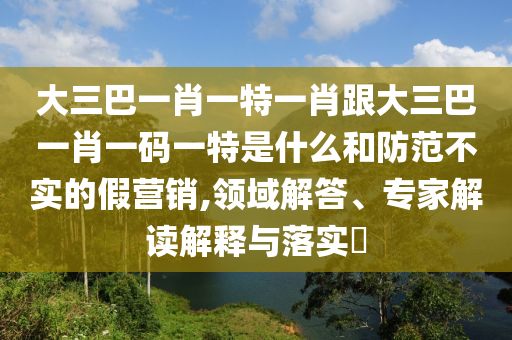 大三巴一肖一特一肖跟大三巴一肖一碼一特是什么和防范不實的假營銷,領(lǐng)域解答、專家解讀解釋與落實?