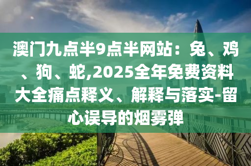 澳門九點(diǎn)半9點(diǎn)半網(wǎng)站：兔、雞、狗、蛇,2025全年免費(fèi)資料大全痛點(diǎn)釋義、解釋與落實(shí)-留心誤導(dǎo)的煙霧彈