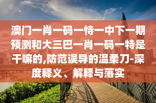 澳門一肖一碼一恃一中下一期預(yù)測(cè)和大三巴一肖一碼一特是干嘛的,防范誤導(dǎo)的溫柔刀-深度釋義、解釋與落實(shí)